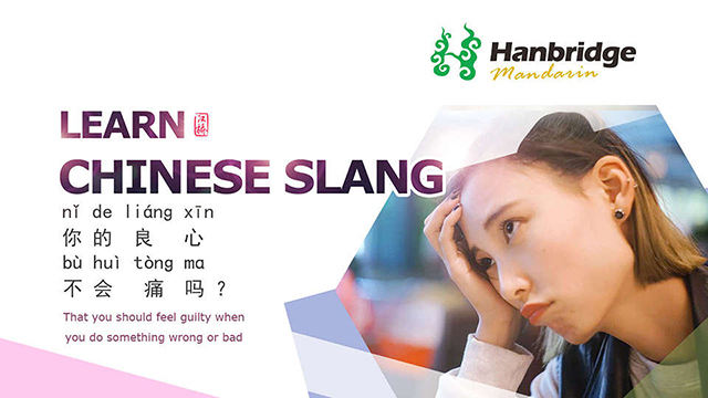 Learn Chinese Slang — 你的良心不会痛吗？